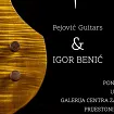 Izložba gitara i fotografija: Prezentacija Vertigo projekta Pejović Guitars & Igor Benić