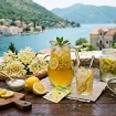 Domaći sok od zove
