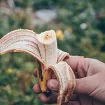 Šta se dešava sa mozgom kada jedete banane – naučnici imaju zanimljiv odgovor