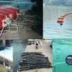 Kako je Boka Kotorska postala kolijevka crnogorske marikulture