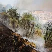 Ekstremne vrućine ostavljaju posljedice širom Evrope: Pojedini krajevi gotovo neprepoznatljivi