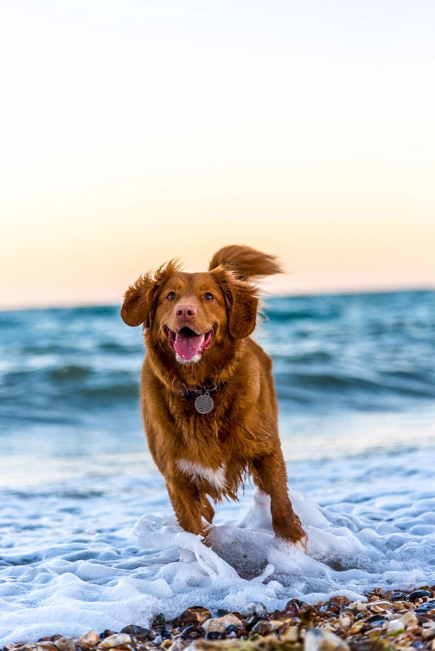 Foto:&nbsp;Oscar Sutton- Unsplash