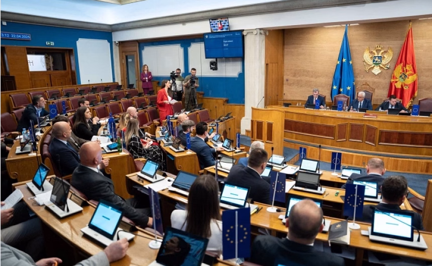 Foto: Screenshot/Sa neke od ranijih sjednica